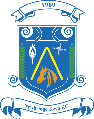 Wappen Newbridge Town FC