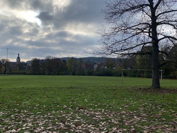 Stadion an der Regnitzbrücke Nebenplatz 1 - Forchheim/Oberfranken