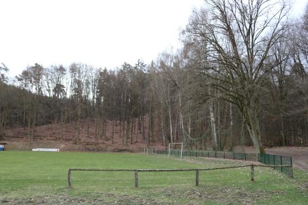 Waldsportplatz Fritz Böttcher - Falkenberg/Mark