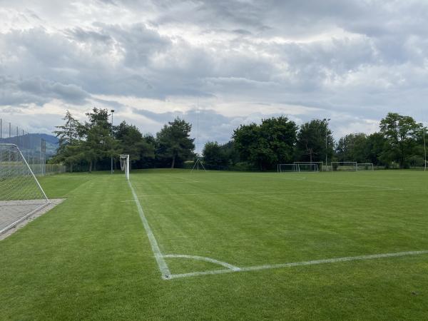 Sportanlage Meierwiesen Platz 4 - Wetzikon