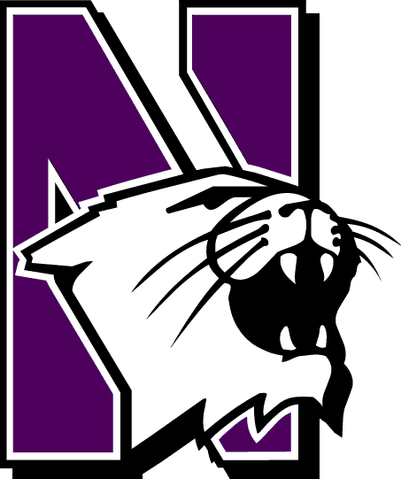 Wappen Northwestern Wildcats  78729