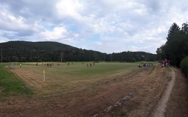 Sportplatz Rodachwiesen - Kronach-Neuses