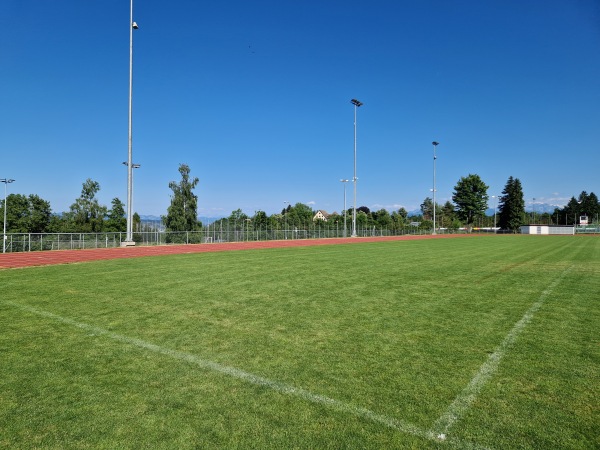 Sportanlage Waldegg Platz A - Horgen