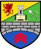 Wappen Canton Liberal FC