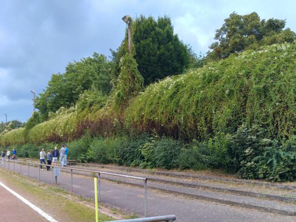 Sportplatz Stephanstraße - Hamburg-Wandsbek