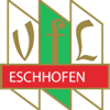 Wappen VfL Eschhofen 1920 diverse