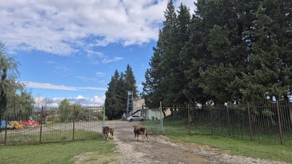 Tsentraluri Stadioni - Terjola