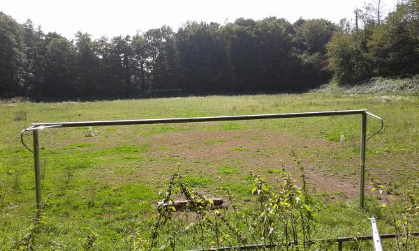 Stadion Zur Sonnenblume Nebenplatz - Velbert