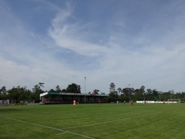 Bajwaroadlines Arena - Deutsch Wagram