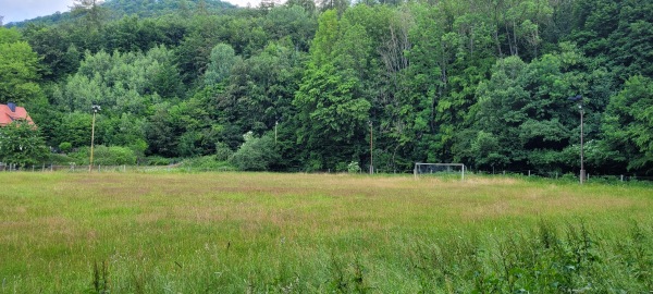 Sportplatz Weidentalswiese - Harztor-Ilfeld