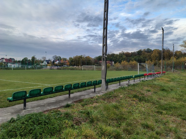 Dolne Boisko Wiarusów - Igołomia