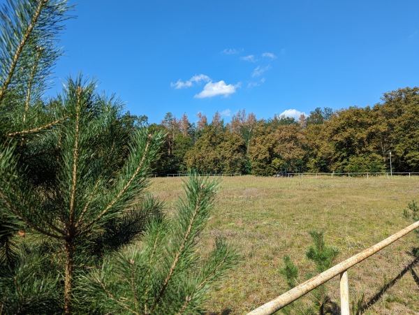 Sportplatz Birkholz - Tangerhütte-Birkholz