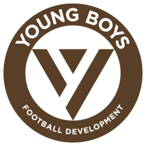 Wappen Young Boys FD  28878