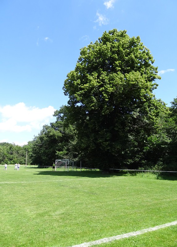 Sportzentrum Poplitz - Könnern-Poplitz