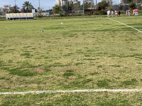 Maccabi Shaarayim Stadion - Rehovot