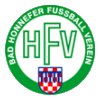 Wappen Bad Honnefer FV 1919  8895