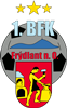 Wappen 1. BFK Frýdlant nad Ostravicí  13936