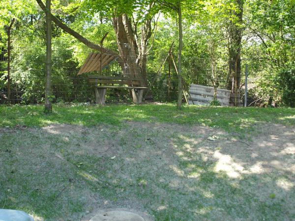 Sportplatz Am Holzgraben - Dortmund-Scharnhorst