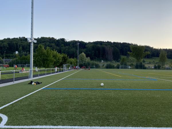 Sportanlage Moos Platz 2 - Wettswil am Albis