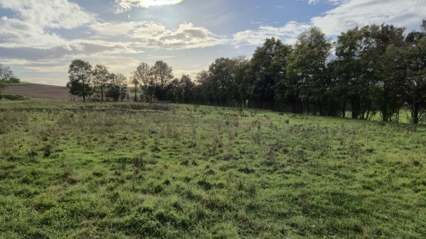 Sportplatz am Riedbach - Gülchsheim