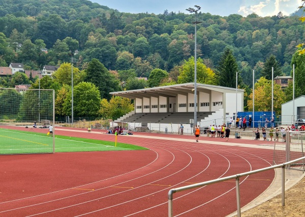 Stadion Schöntal - Neustadt/Weinstraße