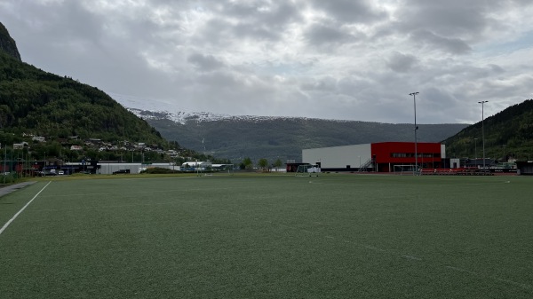 Stryn Krøllgras - Stryn
