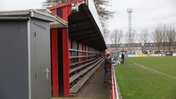 Sportpark De Scand - Molenlanden-Kinderdijk