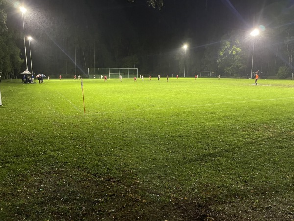 Waldsportplatz 2 - Singen/Hohentwiel-Überlingen