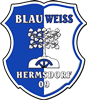 Wappen SV Blau-Weiß Hermsdorf 09 diverse  98747