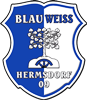 Wappen SV Blau-Weiß Hermsdorf 09 diverse