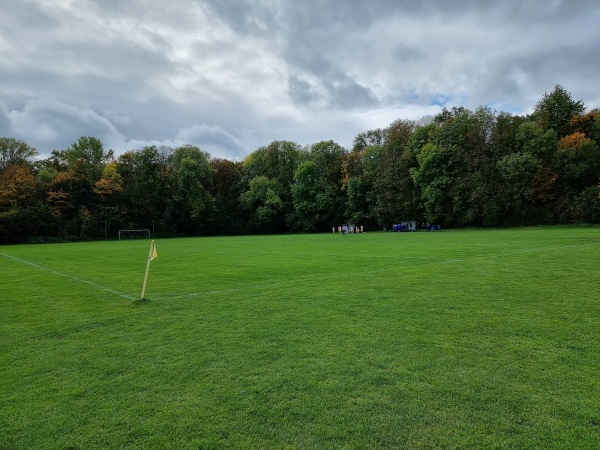 Sportanlage Neue Linie Platz 2 - Leipzig-Connewitz