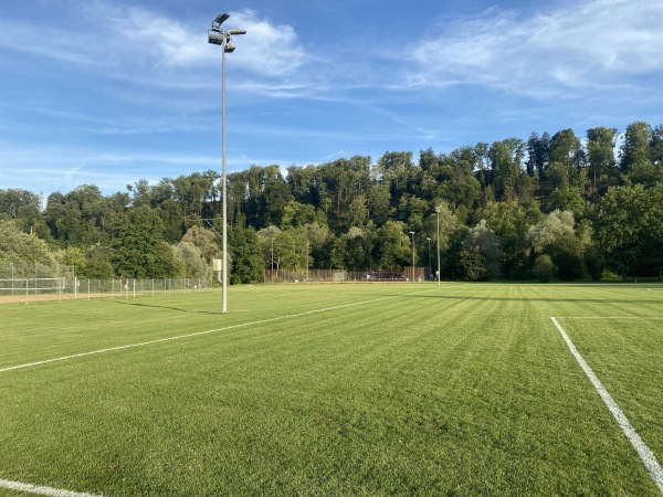 Sportplatz Grossmatt - Zwingen