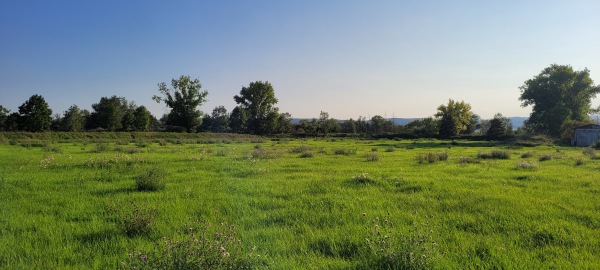 Sportplatz Roßleben 3 - Roßleben-Wiehe