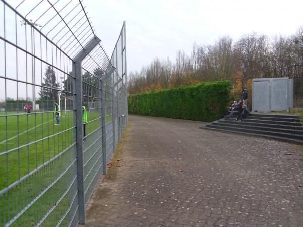 Alter Zustand: Naturrasen