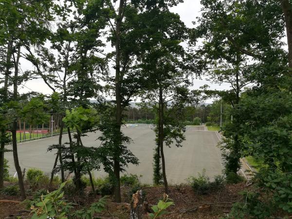Waldstadion Nebenplatz 1 - Eisenberg/Pfalz