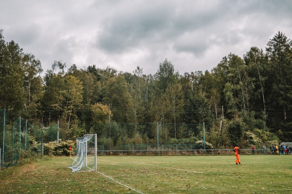 Schallerbachsportplatz - Auerbach/Vogtland-Brunn