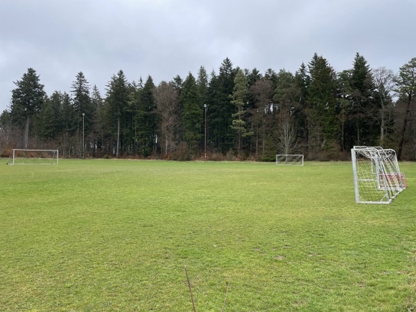 Faudenkapstadion Nebenplatz - Königsheim
