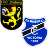 Wappen SG Dilsberg/Bammental II (Ground B)