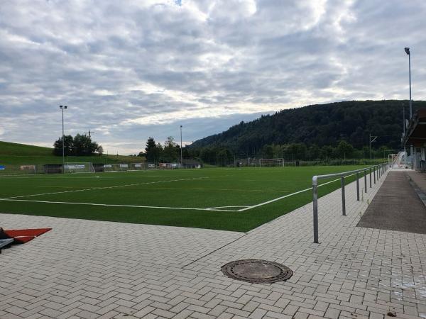 Werner-Gießler-Arena Nebenplatz - Elzach