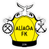 Wappen Aliağa Futbol A.Ş.  53635