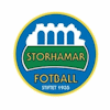 Wappen Storhamar Fotball  13392