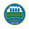 Wappen Storhamar Fotball