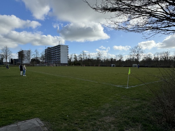 Sportpark De Akkers veld D - Heerenveen