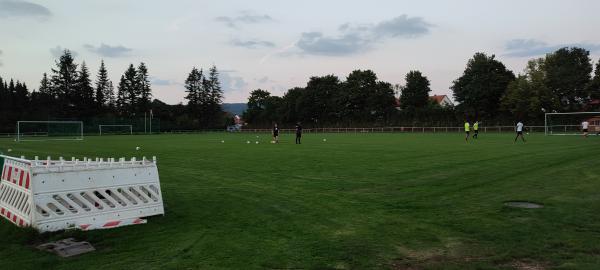 Stadion Harmsmühlenstraße C-Platz - Springe