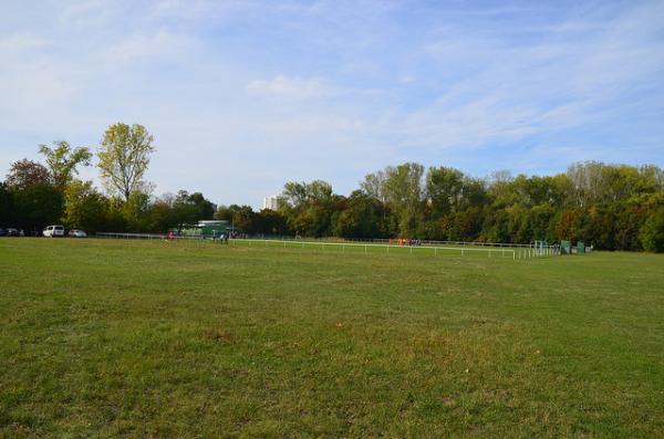 Sportplatz Am Zoopark - Erfurt-Roter Berg