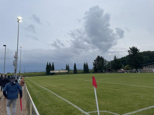 Hans-Weber-Stadion Nebenplatz 1 - Rheinau/Baden-Linx