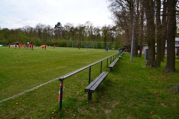 Sportplatz Rieterheg - Meine-Wedelheine