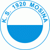 Wappen KS 1920 Mosina  100743