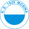 Wappen KS 1920 Mosina