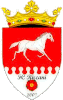 Wappen CF Rîșcani